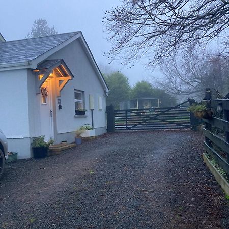 Beech Tree Cottage Glenwherry Eksteriør bilde